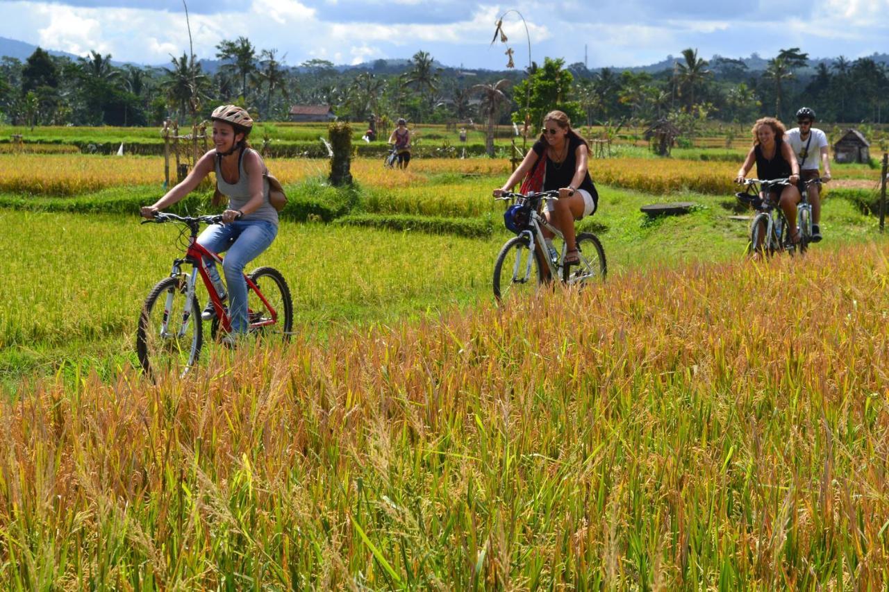 Bali Culture Guesthouse Ubud Extérieur photo